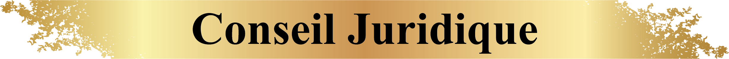 Conseil Juridique