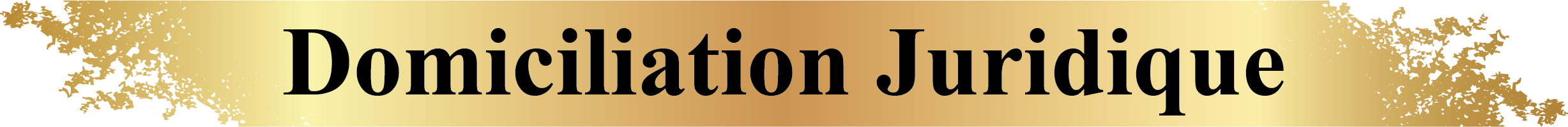 Domiciliation Juridique